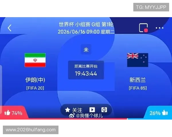 2026年世界杯伊朗对阵新西兰比赛球票价格详尽分析与购买指南